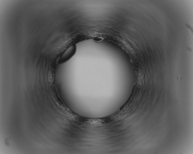 X0000090970569200708301229