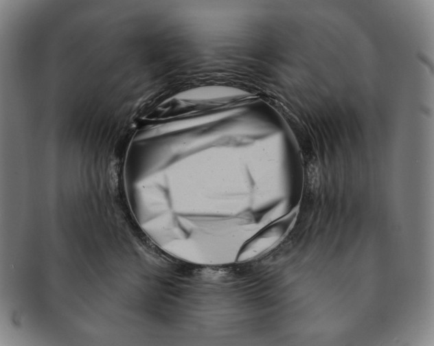 X0000090970570200708301229