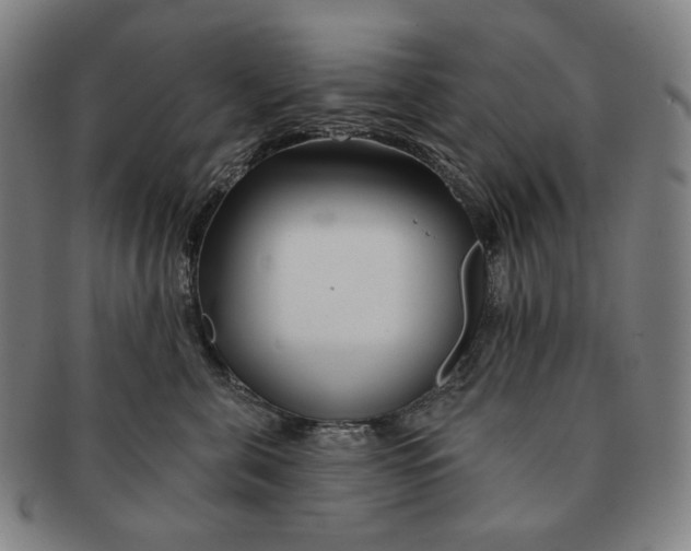 X0000090970571200708301229