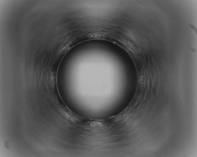 X0000090970572200708301229