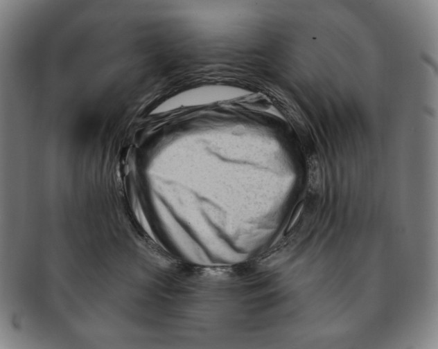 X0000090970573200708301229