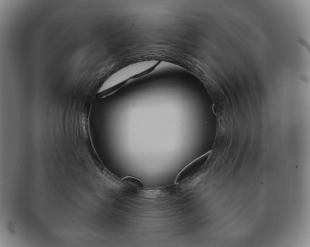 X0000090970575200708301229