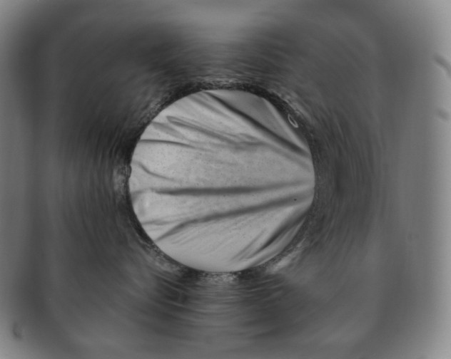 X0000090970576200708301229