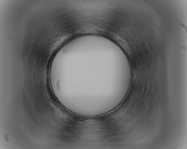 X0000090970578200708301228