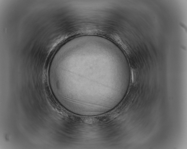 X0000090970579200708301228
