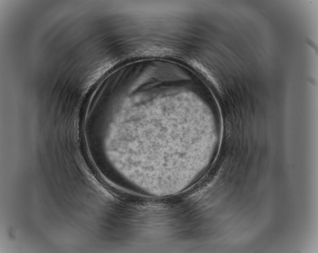 X0000090970581200708301228