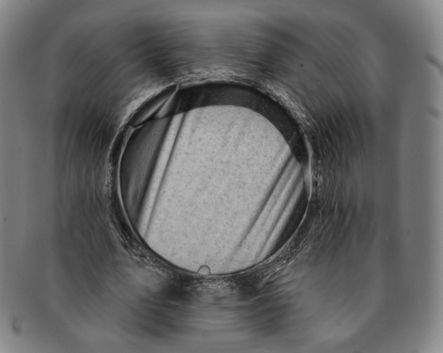 X0000090970583200708301228
