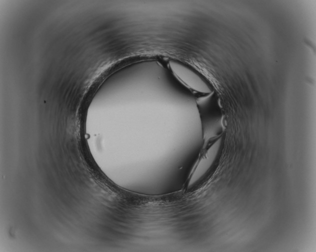 X0000090970584200708301228