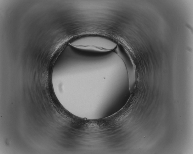 X0000090970588200708301228