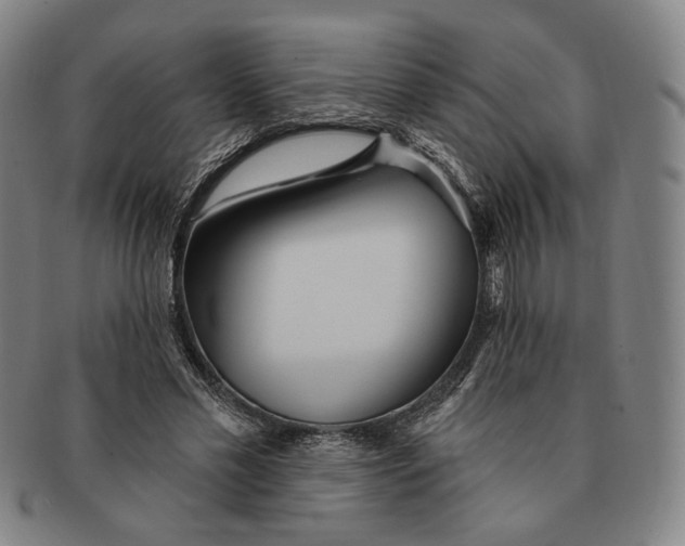 X0000090970589200708301228