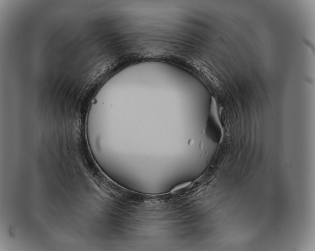 X0000090970591200708301228