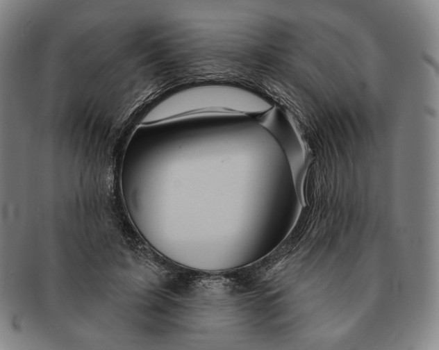 X0000090970595200708301228