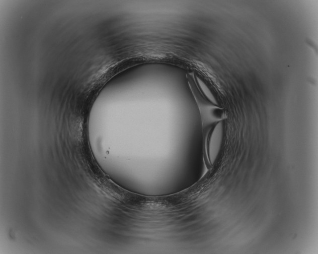 X0000090970596200708301228