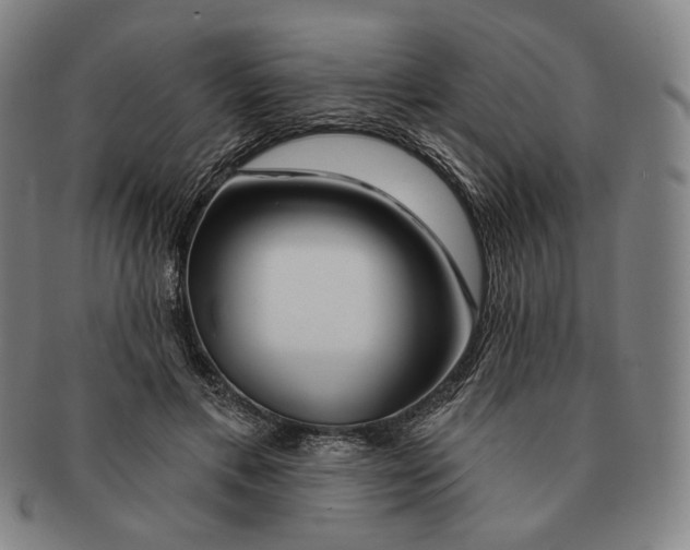 X0000090970597200708301228