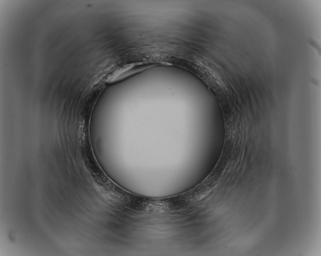 X0000090970599200708301228