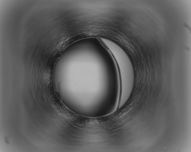 X0000090970600200708301228
