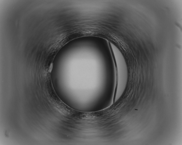 X0000090970601200708301228