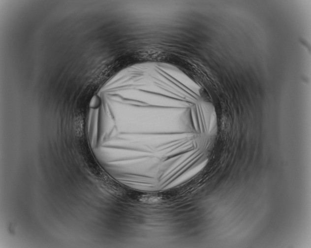 X0000090970602200708301228