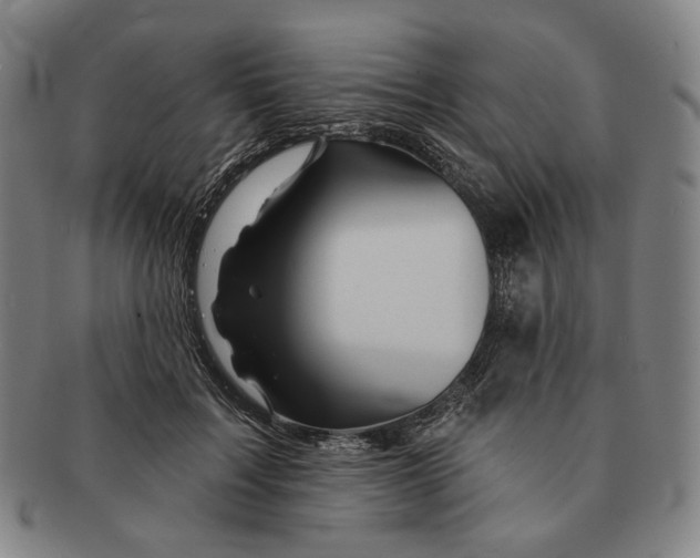 X0000090970603200708301228