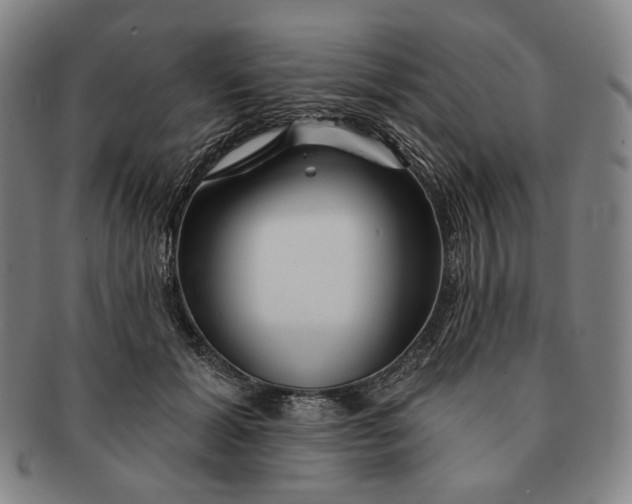 X0000090970605200708301228