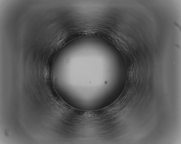 X0000090970608200708301228