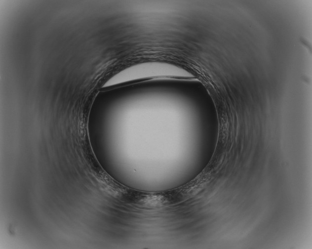 X0000090970609200708301228