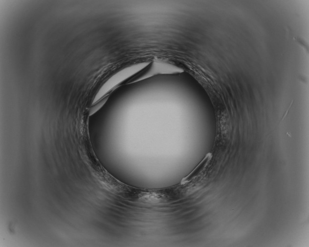 X0000090970611200708301228