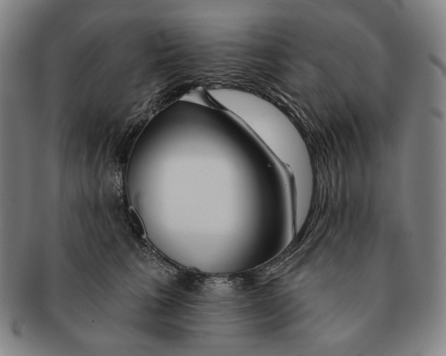 X0000090970613200708301227