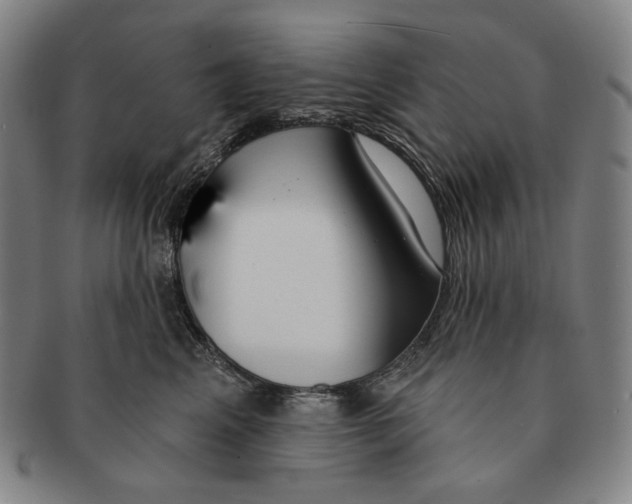 X0000090970617200708301227