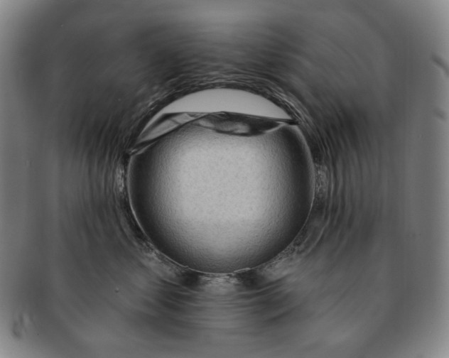 X0000090970621200708301227