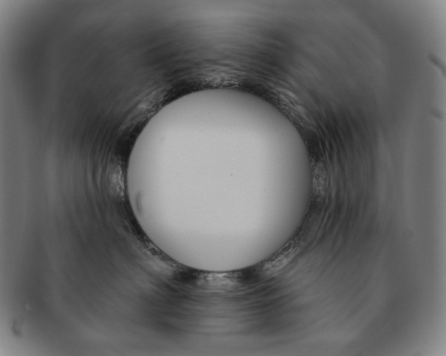 X0000090970622200708301227