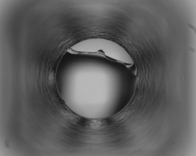 X0000090970623200708301227