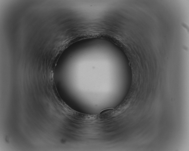 X0000090970624200708301227
