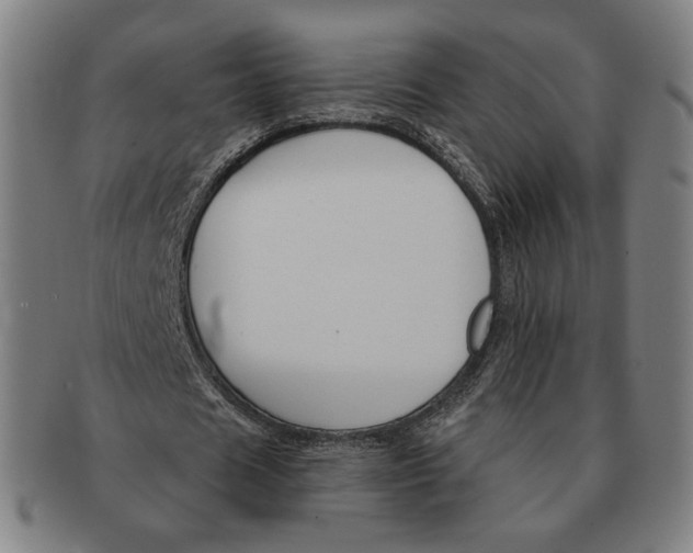 X0000090970625200708301227