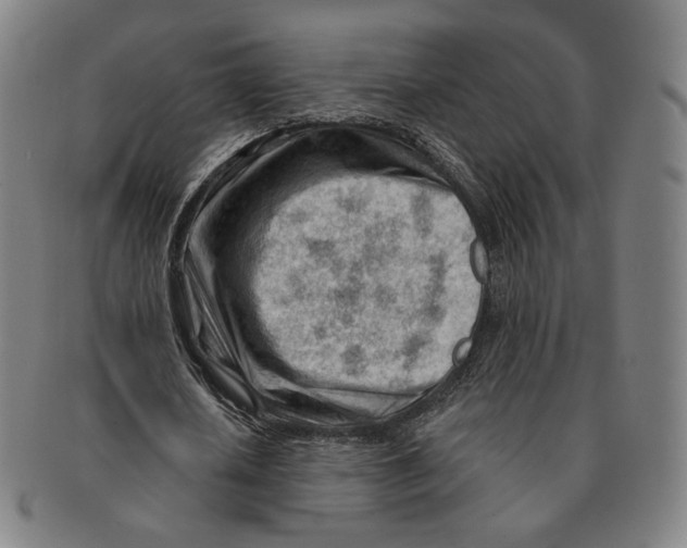 X0000090970626200708301227