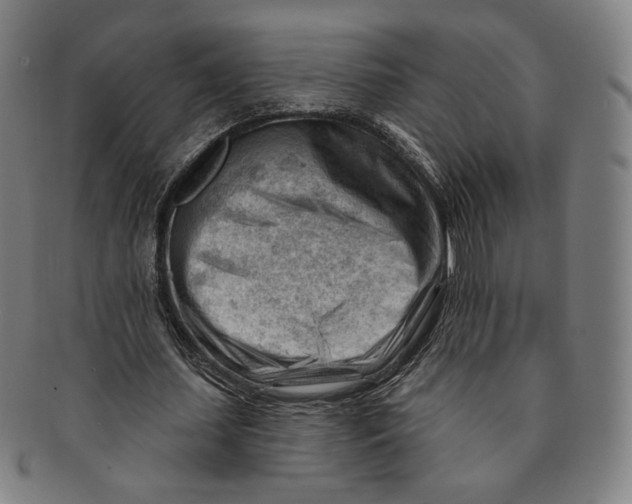 X0000090970627200708301227
