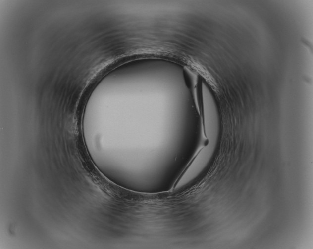 X0000090970628200708301227