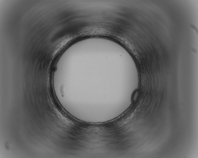 X0000090970629200708301227