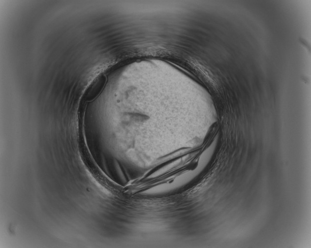 X0000090970630200708301227