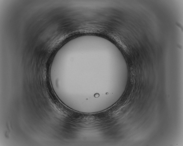 X0000090970631200708301227