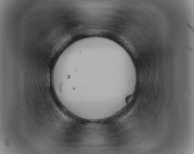 X0000090970633200708301227
