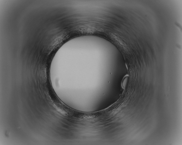 X0000090970638200708301227