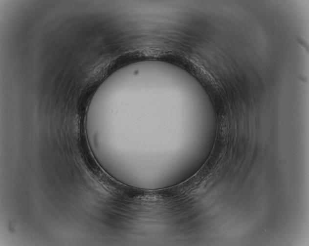 X0000090970639200708301227