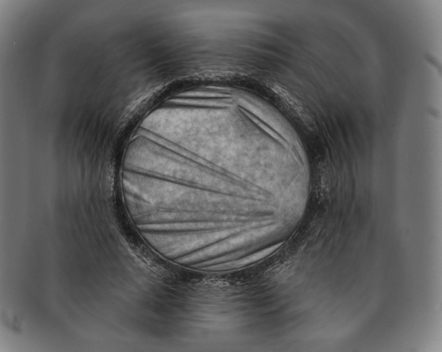 X0000090970640200708301227