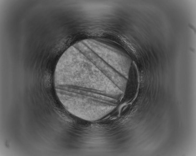 X0000090970641200708301227