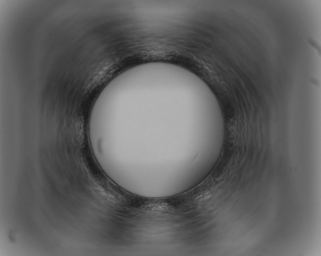 X0000090970642200708301227