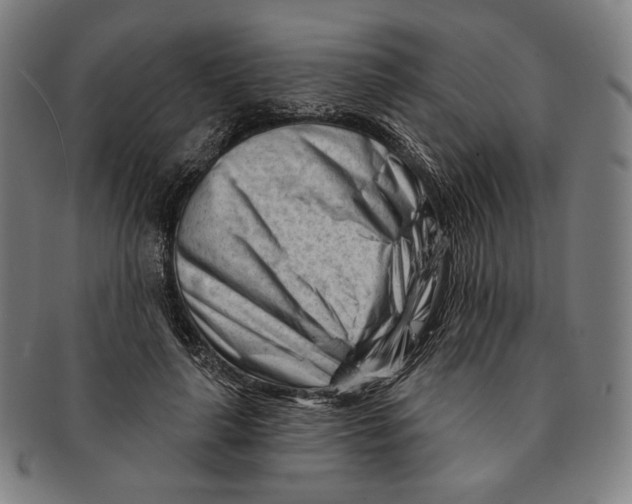 X0000090970643200708301227