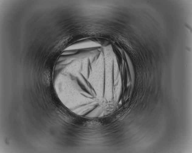 X0000090970644200708301227