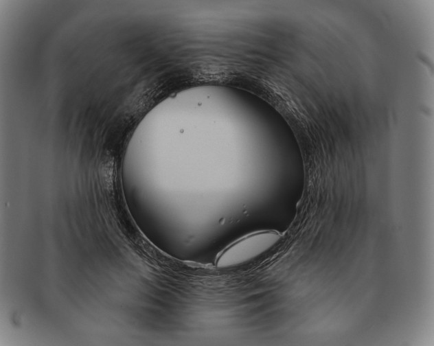 X0000090970647200708301227