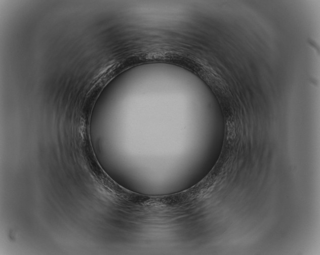 X0000090970648200708301227